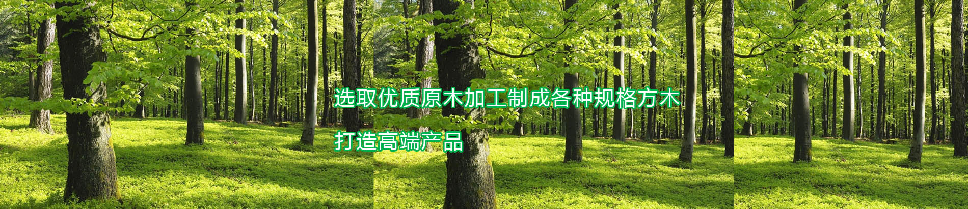 日照羞羞视频免费观看木业有限公司